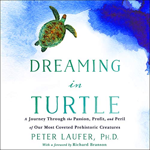 Cover of Dreaming in Turtle