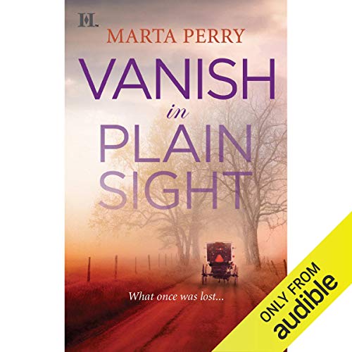 Cover of Vanish in Plain Sight