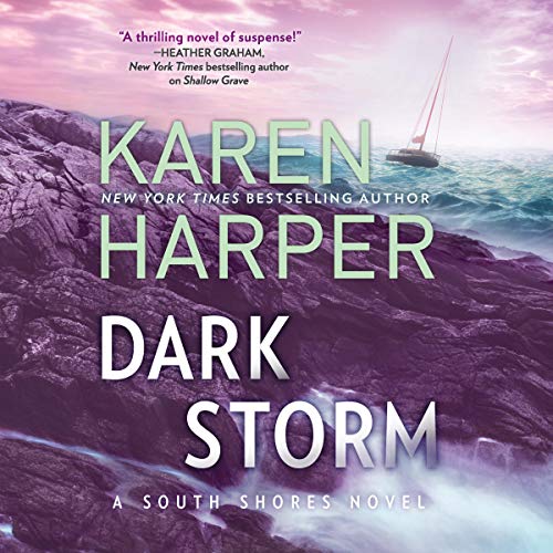 Cover of Dark Storm