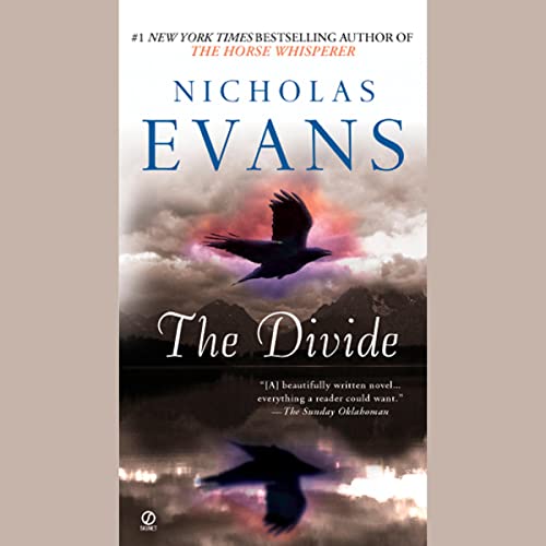 Cover of The Divide