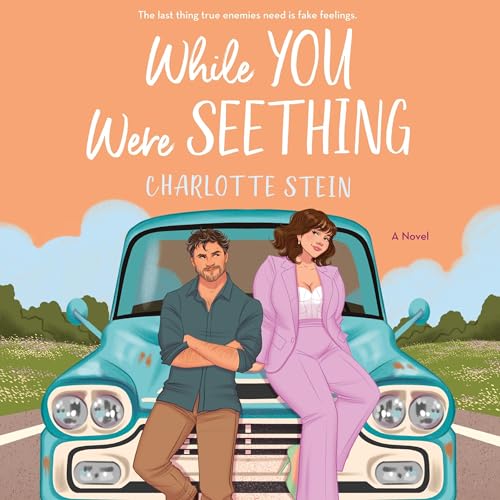 Cover of While You Were Seething