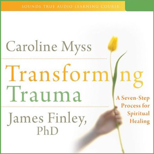 Cover of Transforming Trauma