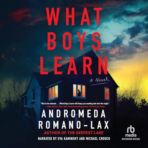 Cover of What Boys Learn