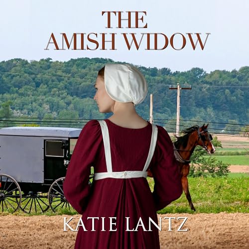 Cover of The Amish Widow