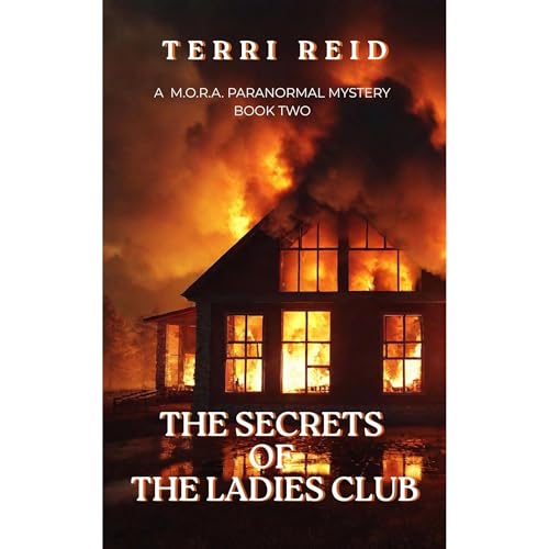 Cover of The Secrets of the Ladies Club
