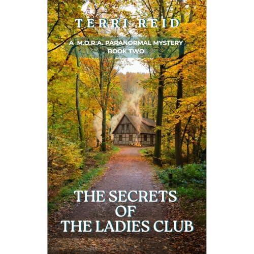 Cover of The Secrets of the Ladies Club