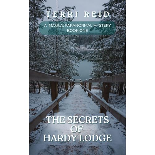 Cover of The Secrets of Hardy Lodge