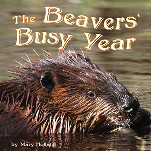 Cover of The Beavers' Busy Year