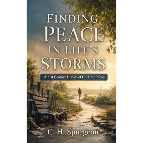 Cover of FINDING PEACE IN LIFE’S STORMS
