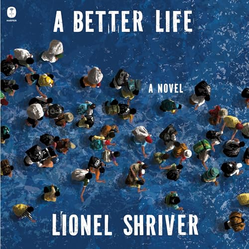 Cover of A Better Life