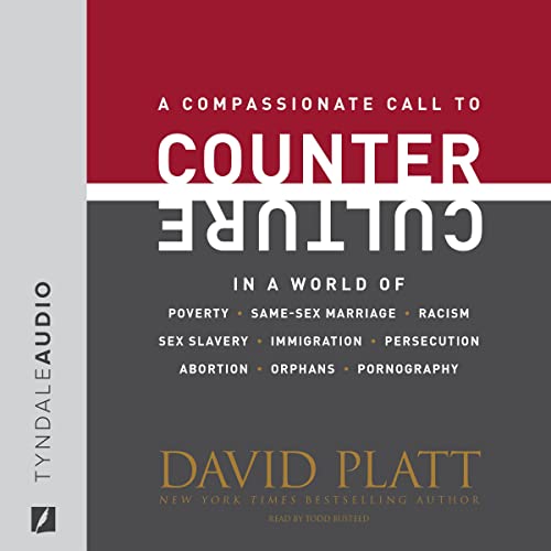 Cover of Counter Culture