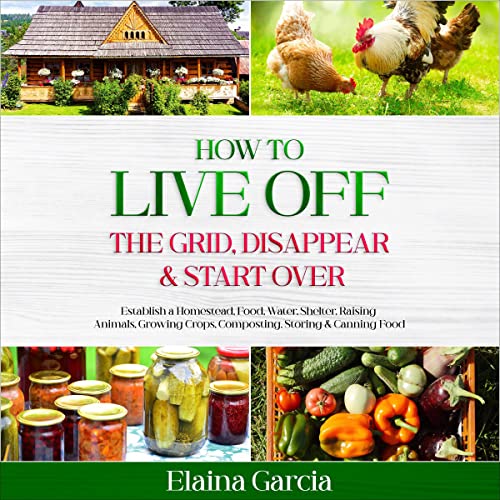 Cover of How to Live Off the Grid, Disappear & Start Over