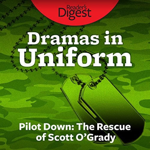 Cover of Pilot Down