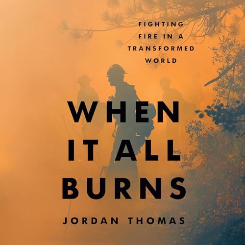 Cover of When It All Burns