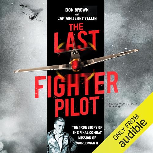 Cover of The Last Fighter Pilot