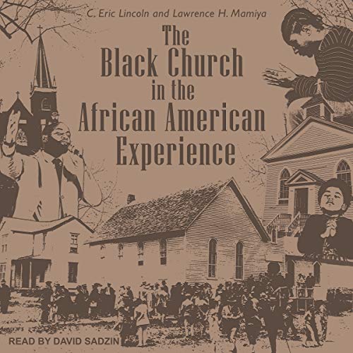 Cover of The Black Church in the African American Experience