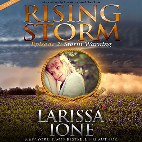 Cover of Storm Warning