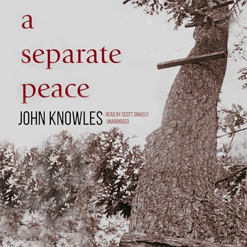 Cover of A Separate Peace
