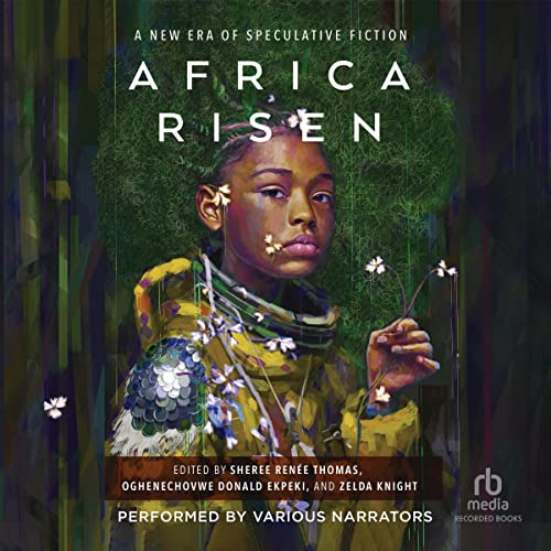 Cover of Africa Risen