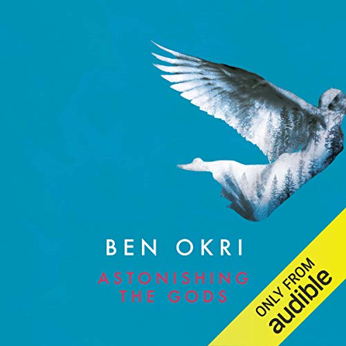 Cover of Astonishing the Gods