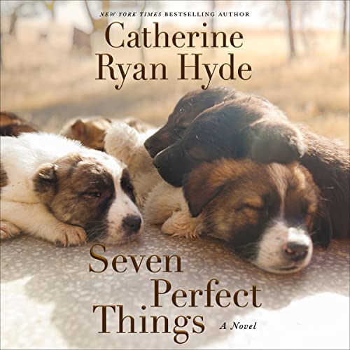 Cover of Seven Perfect Things