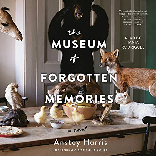 Cover of The Museum of Forgotten Memories