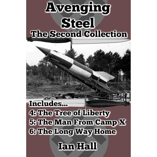 Cover of Avenging Steel