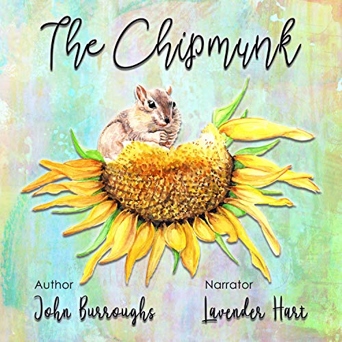 Cover of The Chipmunk