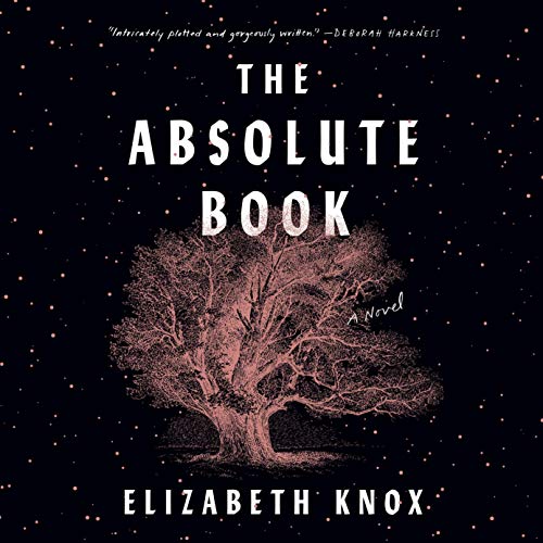 Cover of The Absolute Book
