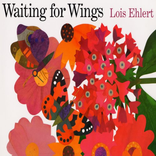 Cover of Waiting for Wings