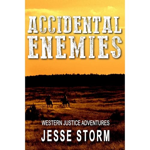 Cover of Accidental Enemies