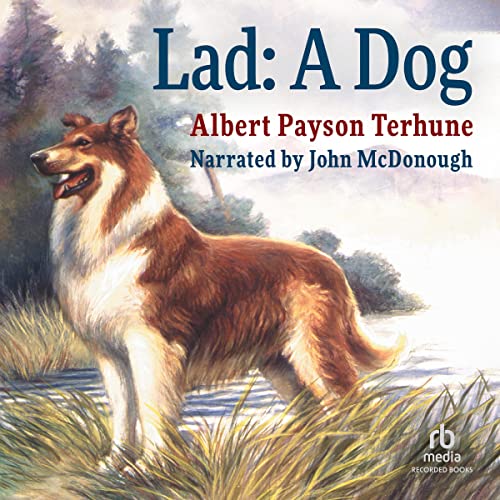 Cover of Lad, a Dog