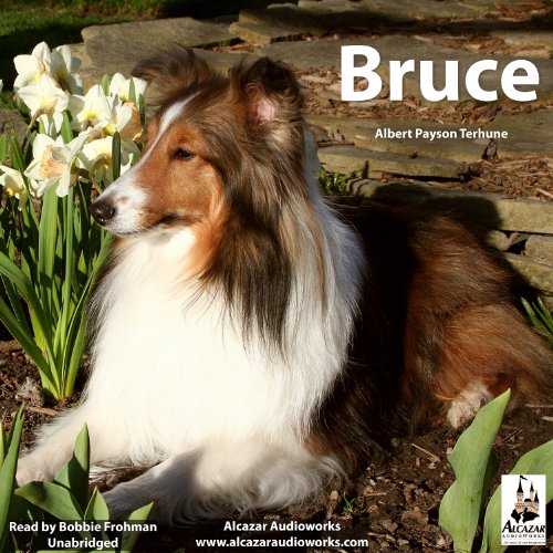 Cover of Bruce