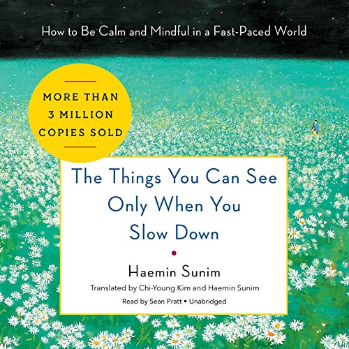 Cover of The Things You Can See Only When You Slow Down