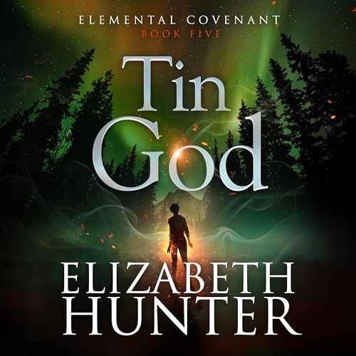 Cover of Tin God
