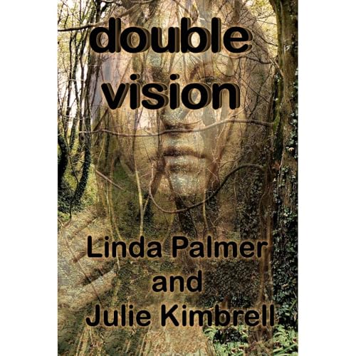 Cover of Double Vision