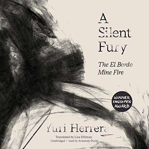 Cover of A Silent Fury