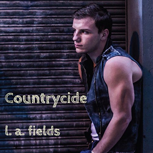 Cover of Countrycide: Stories