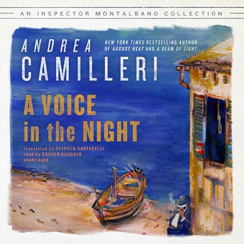 Cover of A Voice in the Night