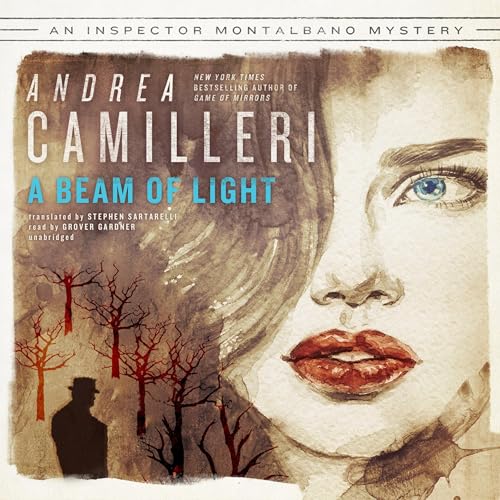 Cover of A Beam of Light