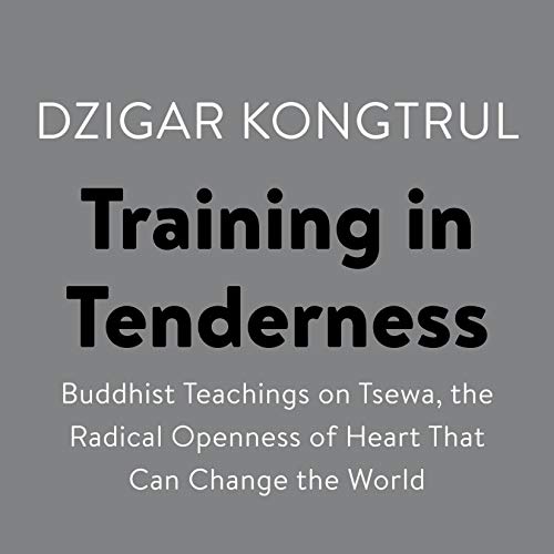 Cover of Training in Tenderness