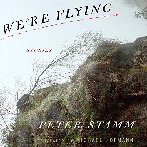 Cover of We're Flying