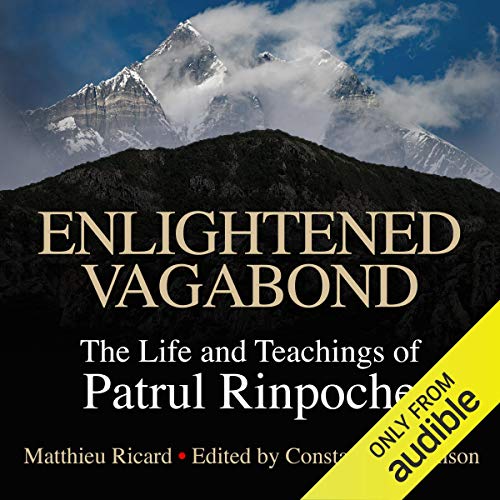 Cover of Enlightened Vagabond