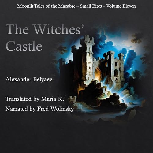 Cover of The Witches' Castle