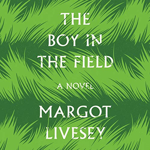 Cover of The Boy in the Field