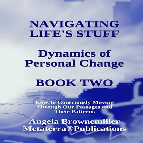 Cover of Navigating Life's Stuff