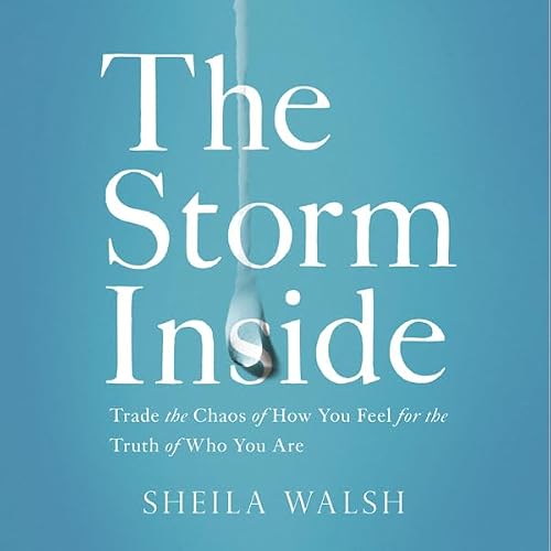 Cover of The Storm Inside