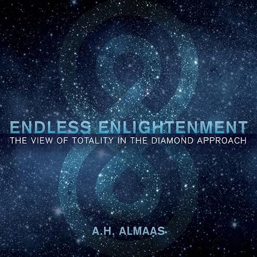 Cover of Endless Enlightenment