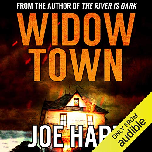 Cover of Widow Town