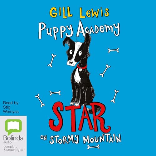 Cover of Star on Stormy Mountain